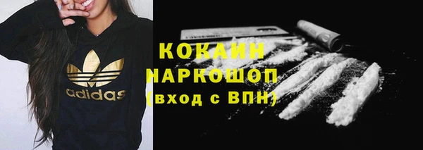 прущий лед Алзамай