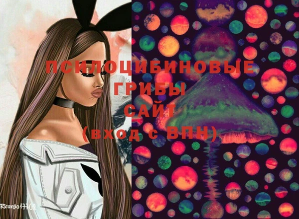 прущие крисы Алексин