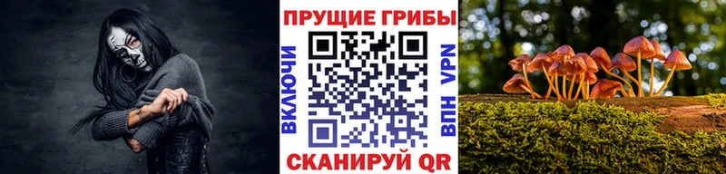 Галлюциногенные грибы ЛСД Томмот